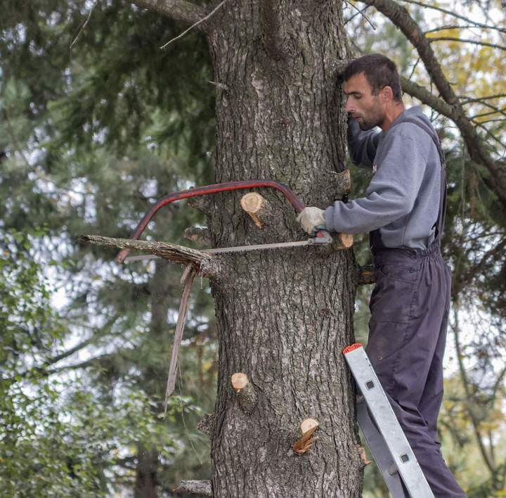 Aménagement d’espaces verts Dieppe