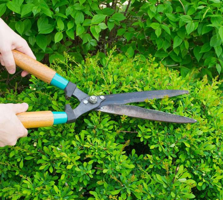 Aménagement d’espaces verts Dieppe