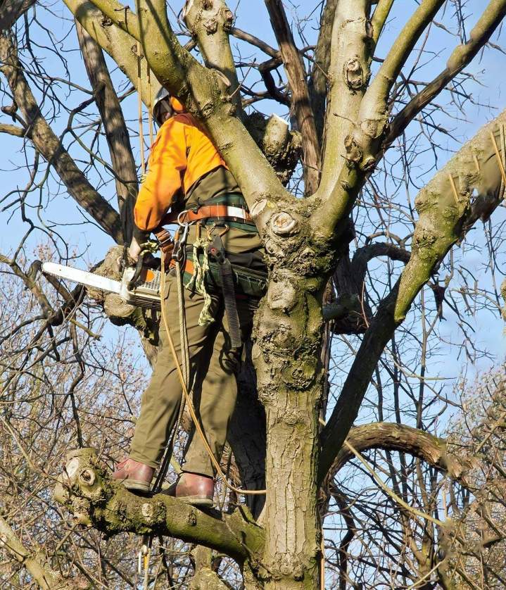 Aménagement d’espaces verts Dieppe
