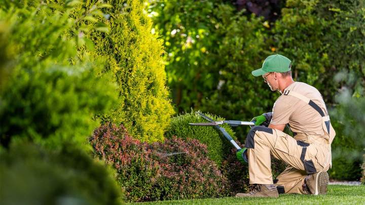 Aménagement de jardins Dieppe