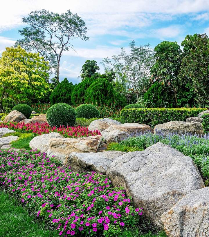 Aménagement de jardins Dieppe